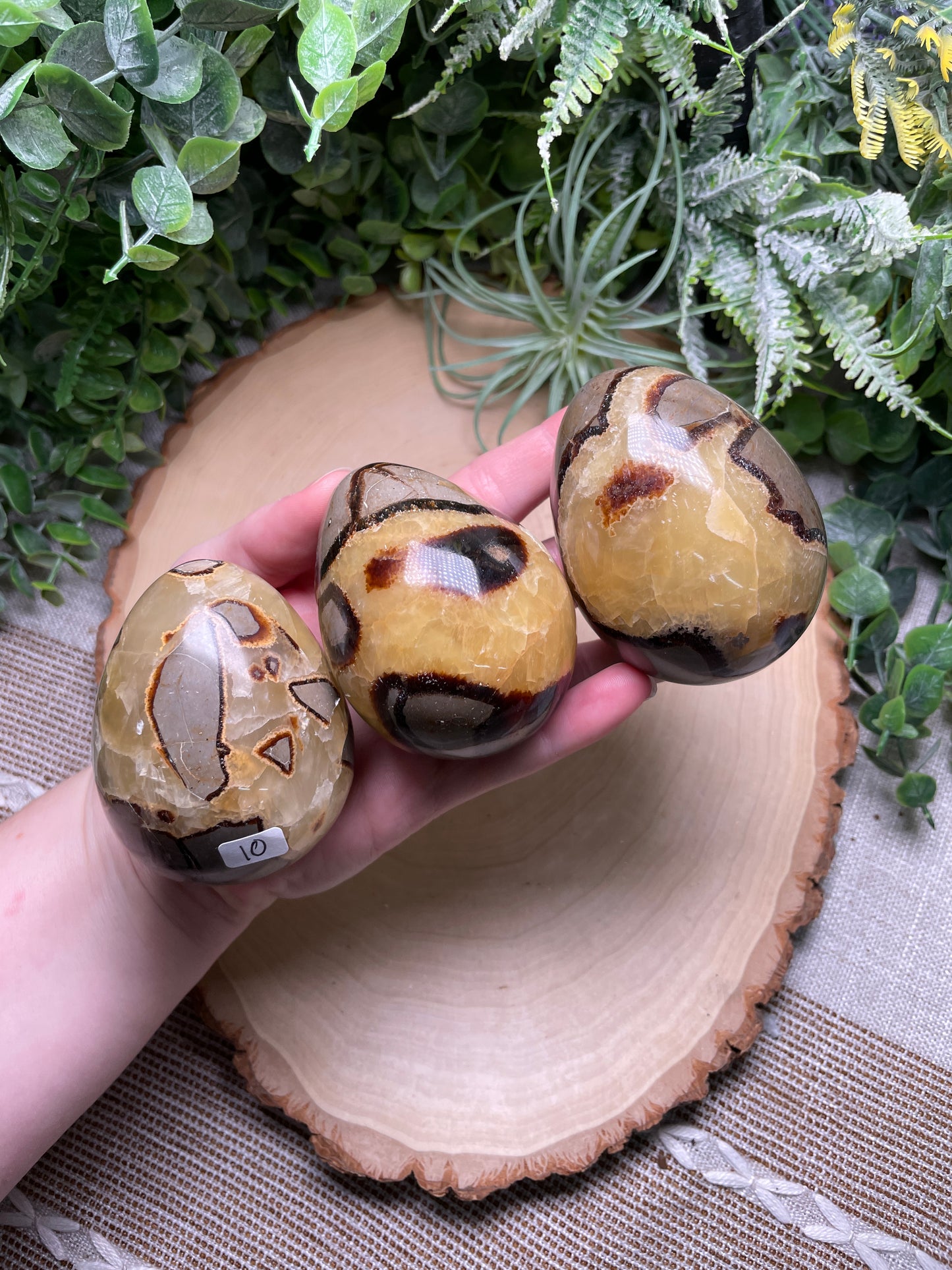 Septarian Egg