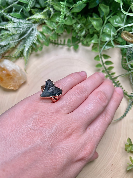 Shark's Tooth Ring Size 3.75