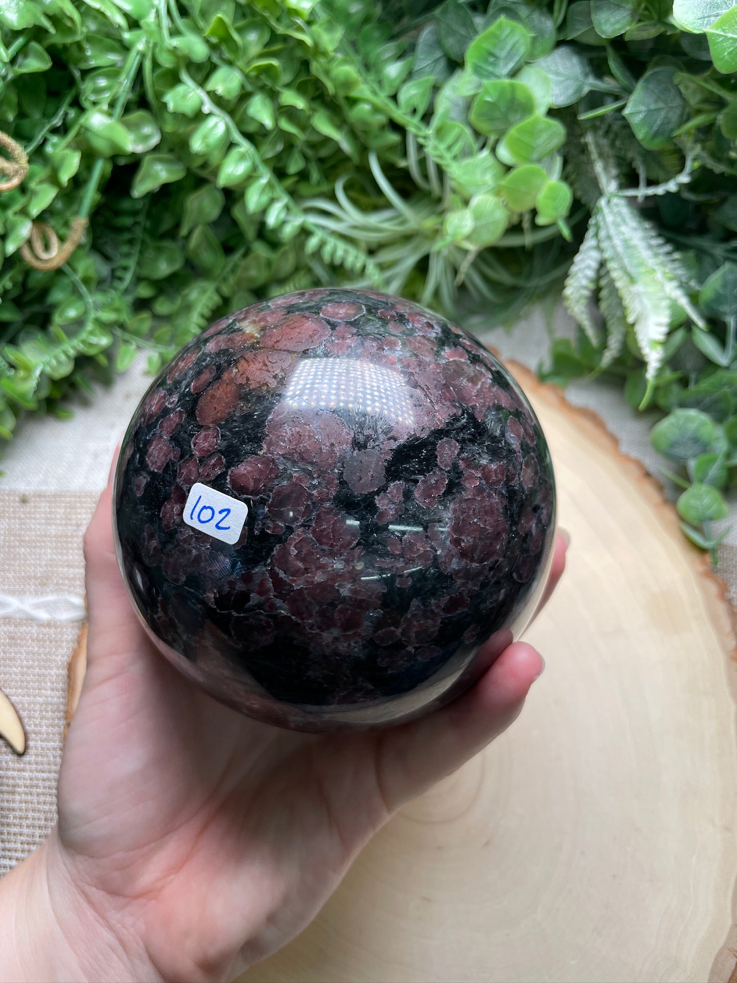 XL Garnet in Astrophyllite Sphere