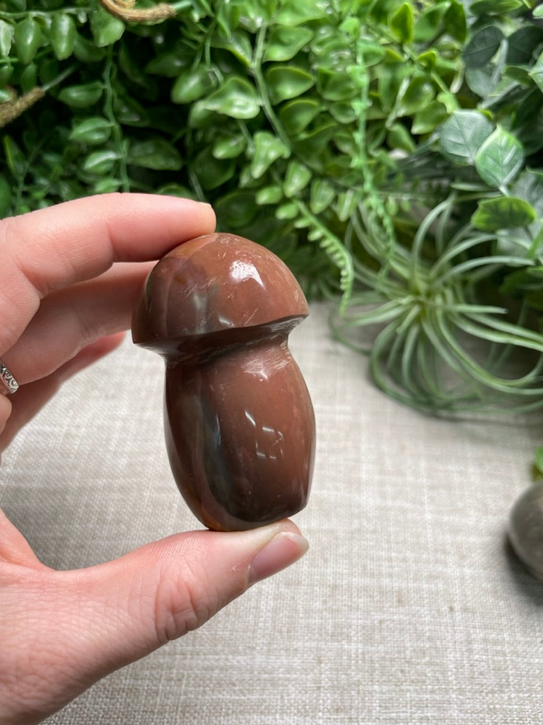 Polychrome Jasper Mushroom