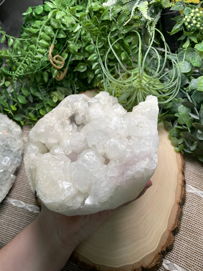 XXL Apophyllite Cluster