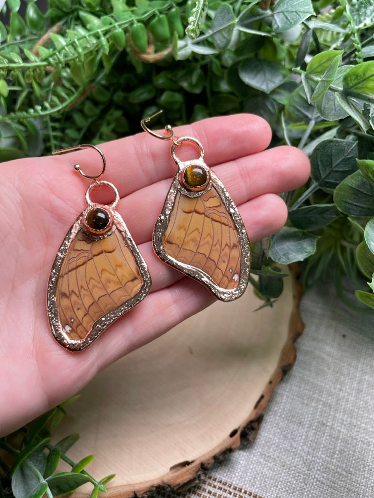 Tigers Eye Butterfly Wing Earrings