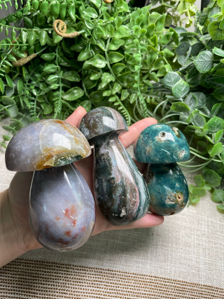 Ocean Jasper Mushroom