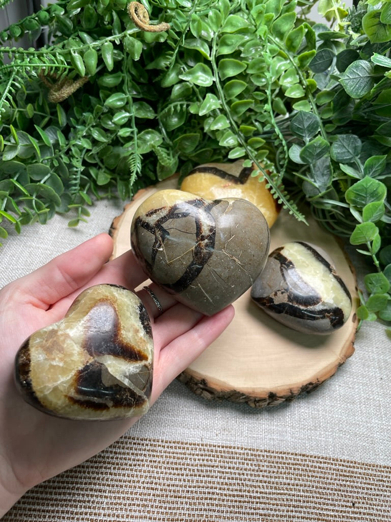 Septarian Heart