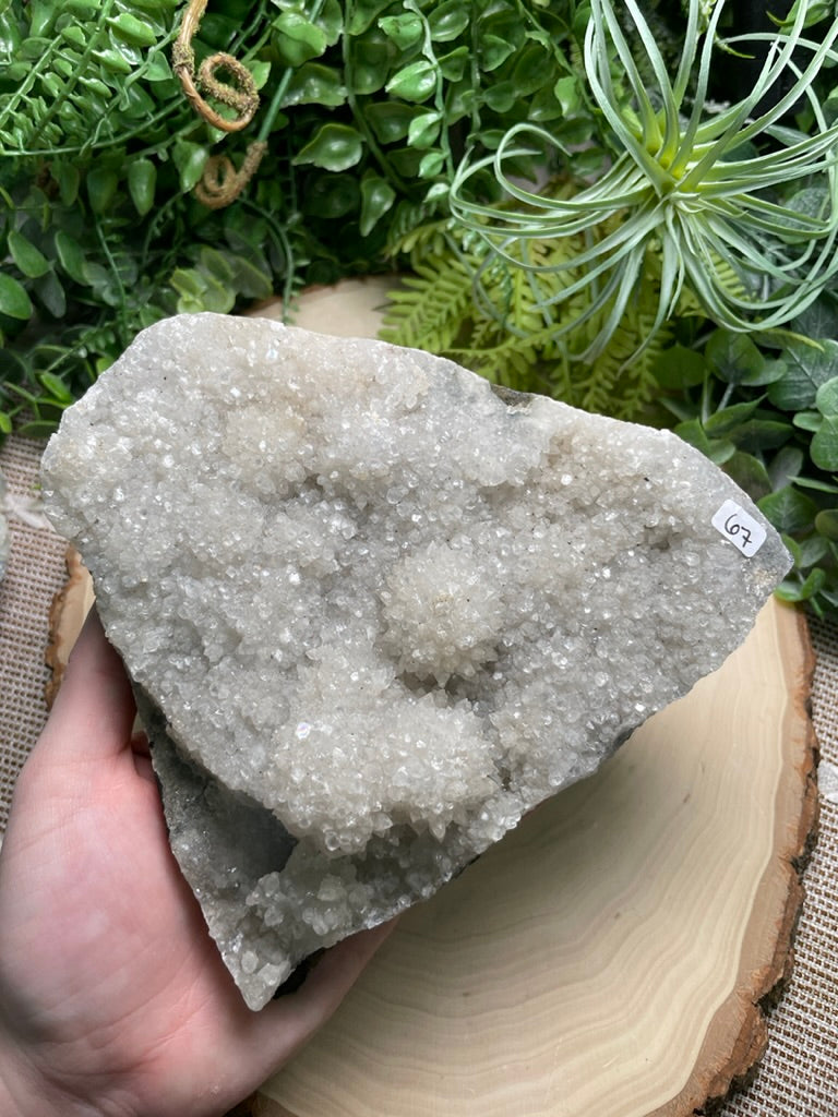 XL Apophyllite Cluster