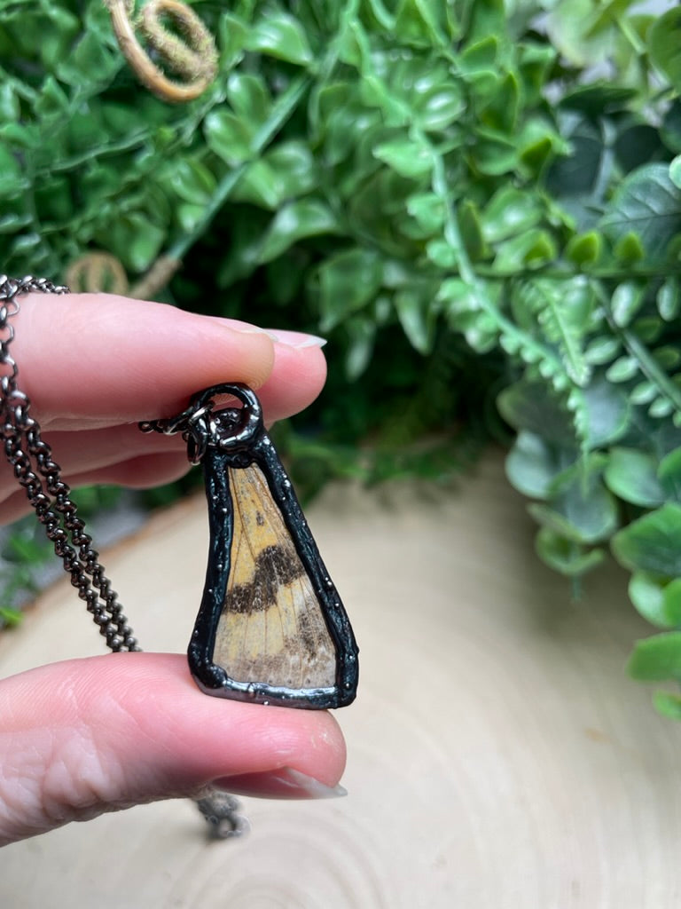 Mother of Pearl Shell Moth Wing Necklace