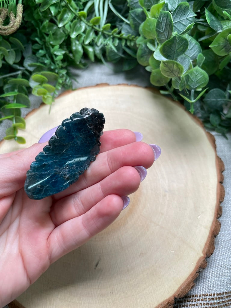 Blue Apatite Ammonite (chipped)