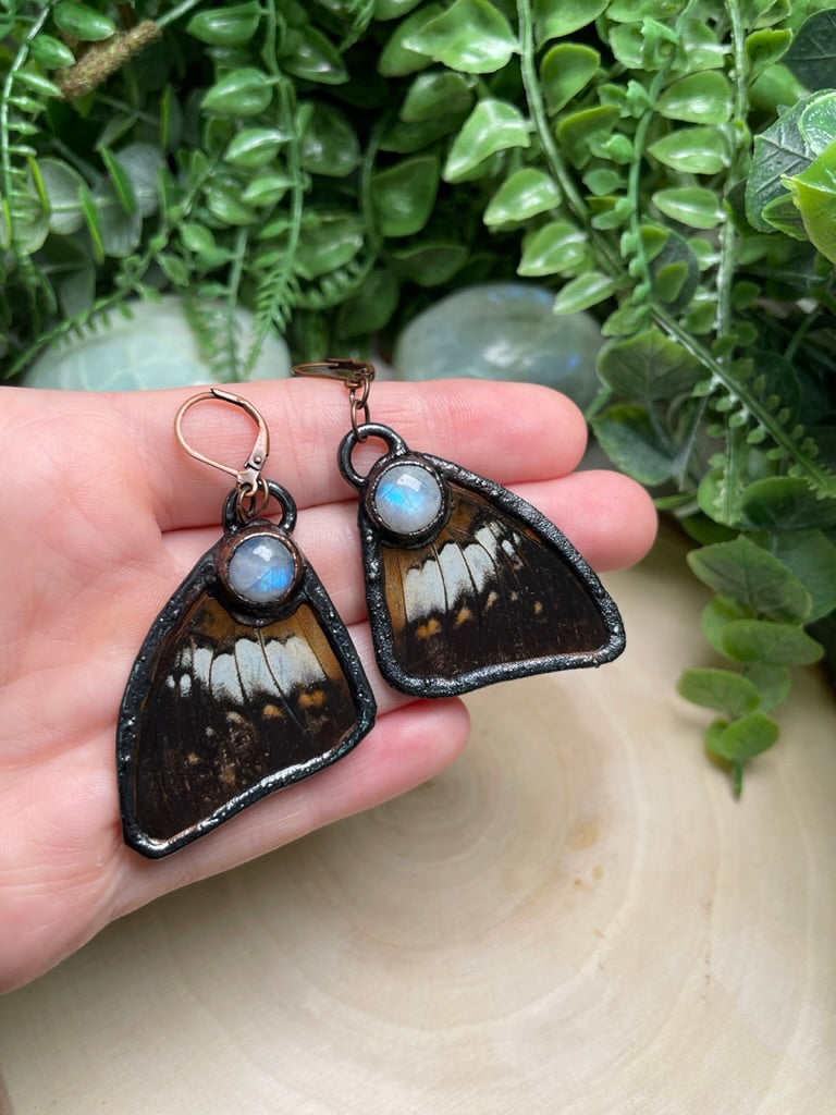 Butterfly Wing and Moonstone Earrings