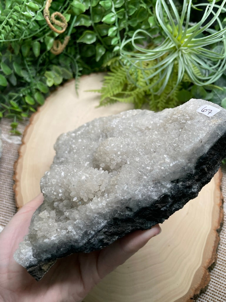 XL Apophyllite Cluster