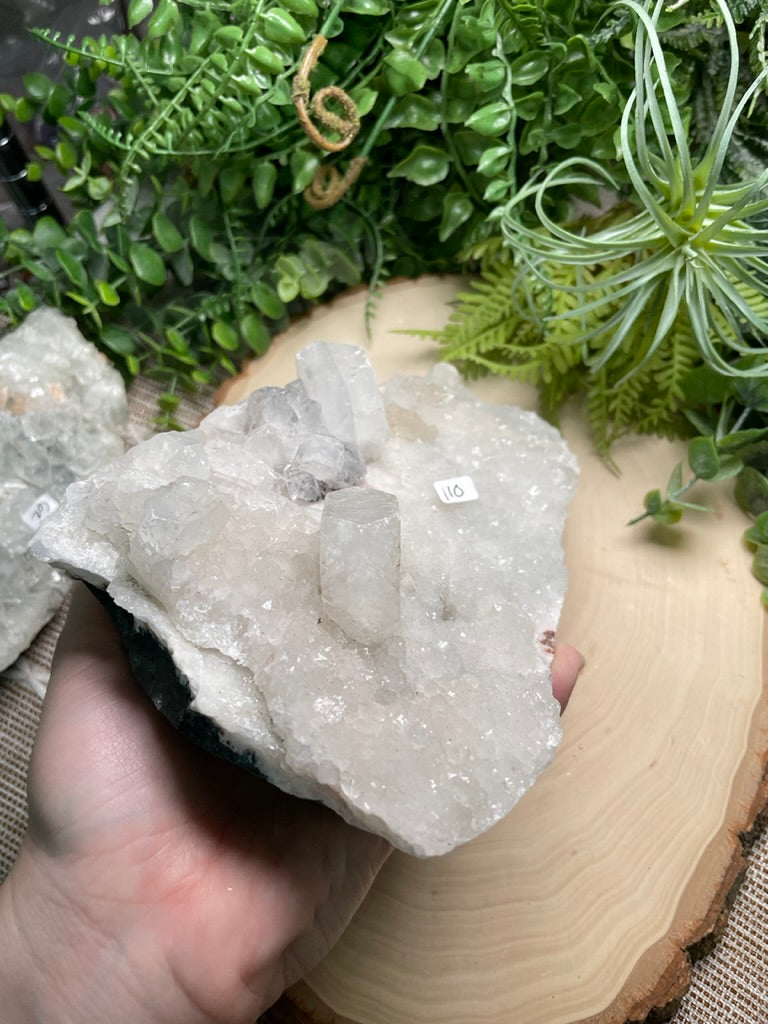 XL Apophyllite Cluster