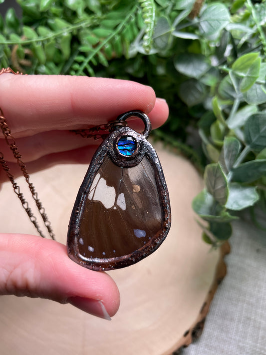 Abalone Shell Butterfly Wing Necklace