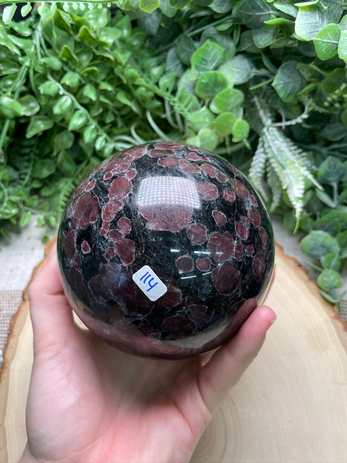 XL Garnet in Astrophyllite Sphere