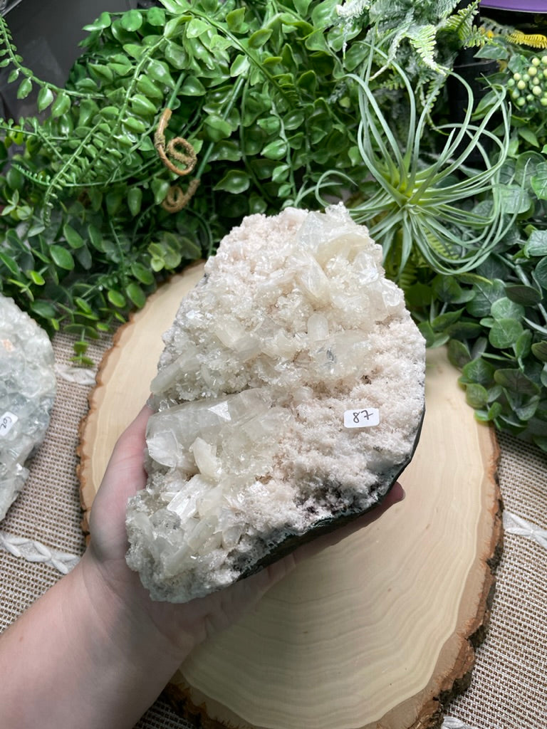 XL Apophyllite Cluster