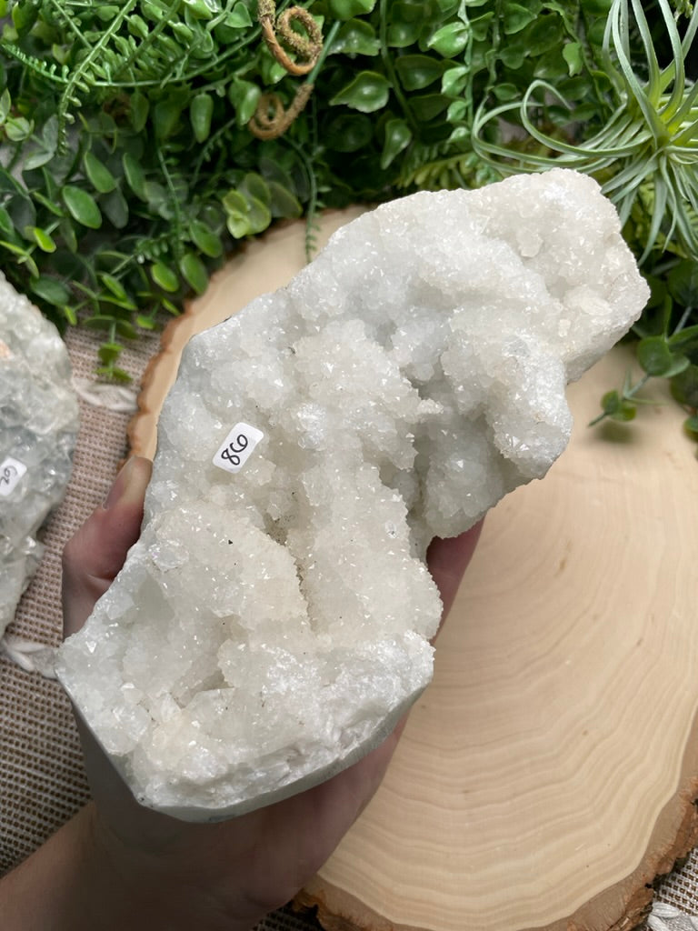 XL Apophyllite Cluster