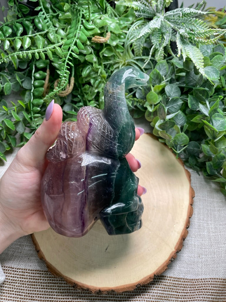 Fluorite Cobra on a Skull