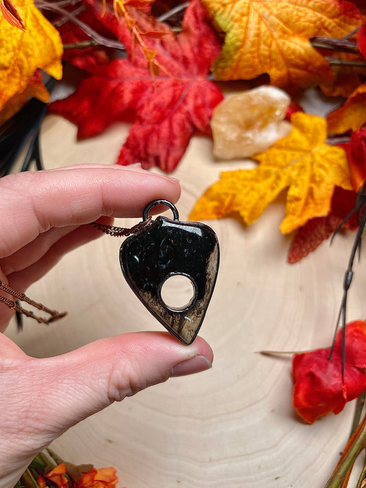 Fossilized Palm Root Planchette Necklace