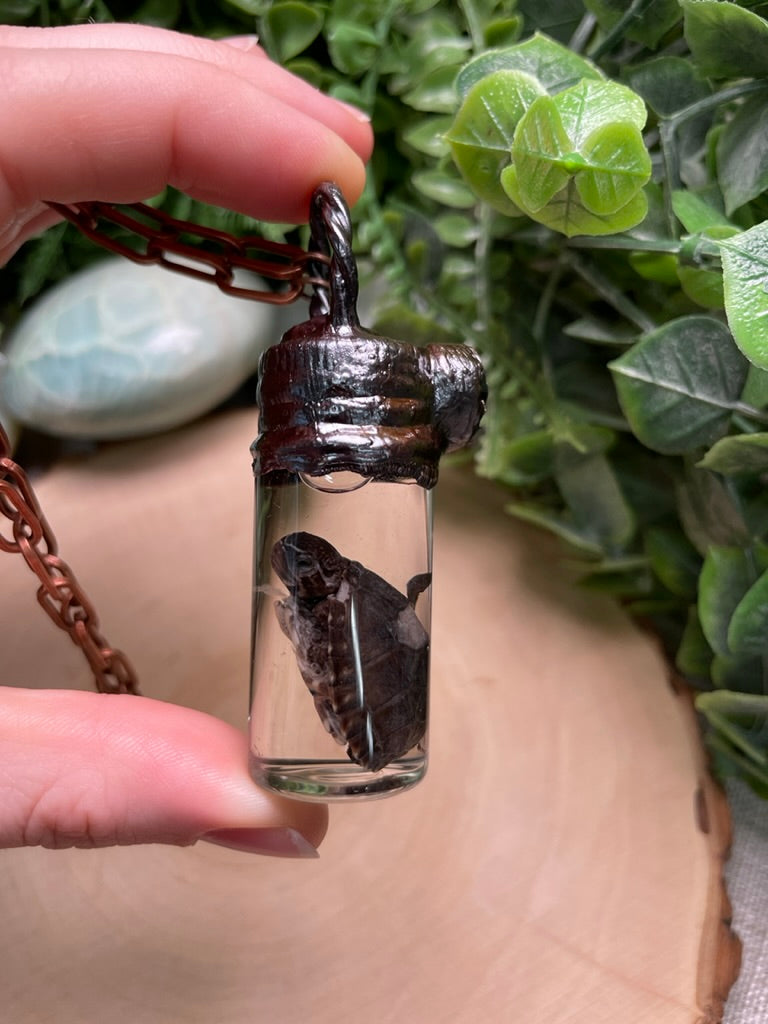 Mother of Pearl Shell and Wet Specimen Baby Turtle in a Glass Vial Necklace