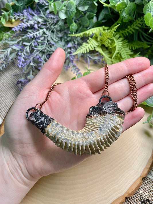 Fossilized Zipper Oyster Necklace