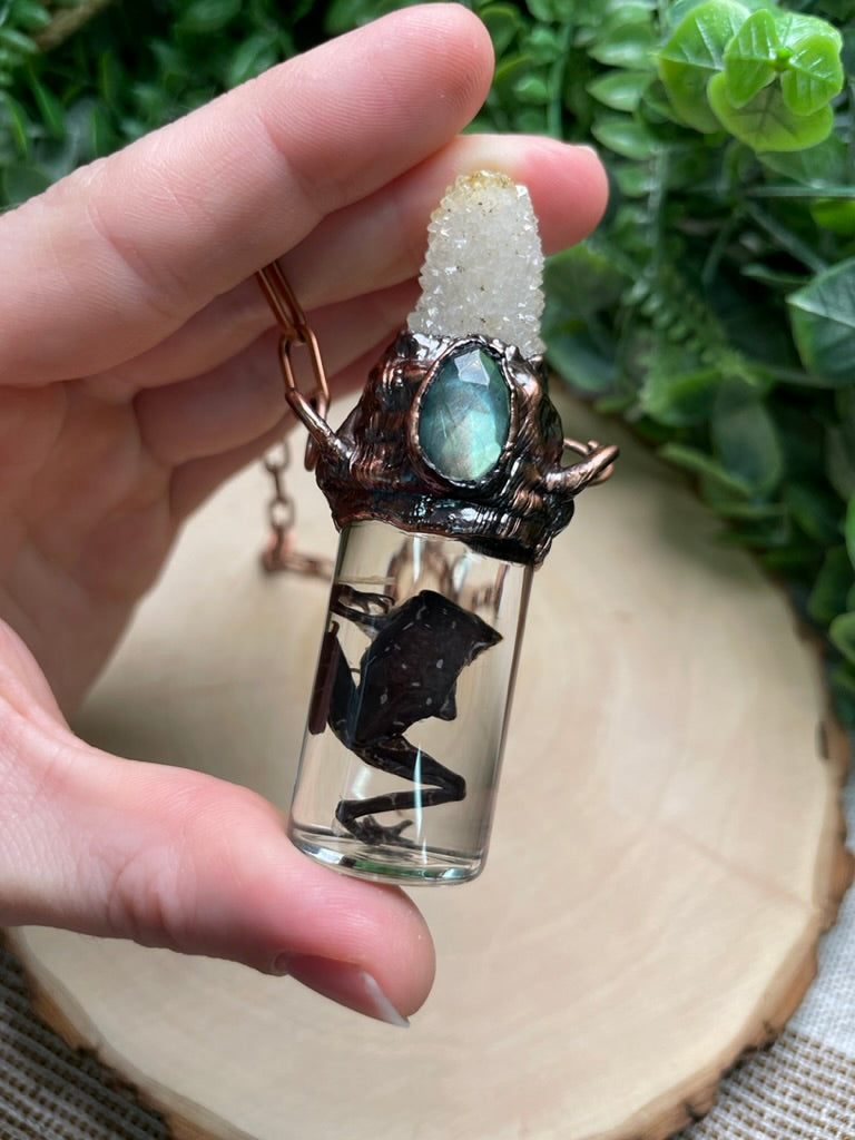 Spirit Quartz, Labradorite, and Wet Specimen Frog in a Glass Vial Necklace