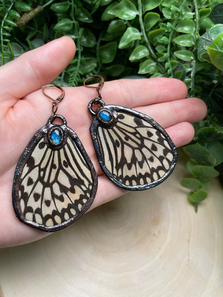 Butterfly Wing and Labradorite Earrings