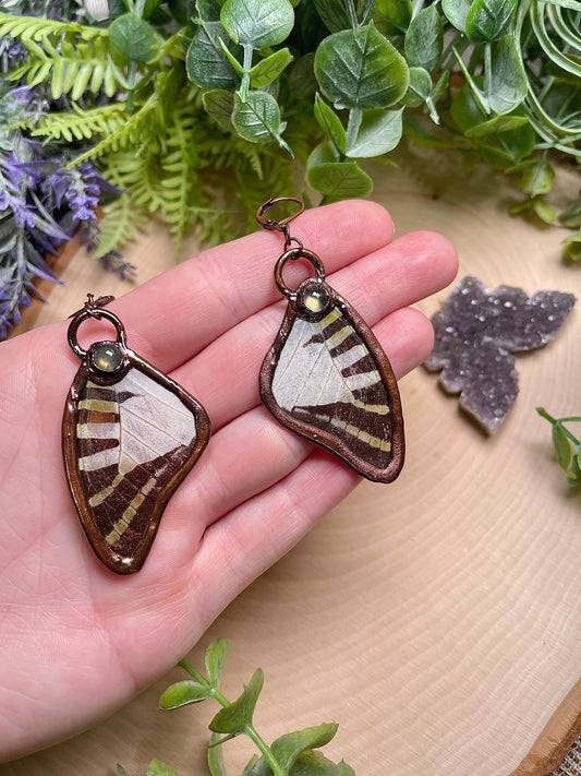 Seraphina- Butterfly Wing Earrings