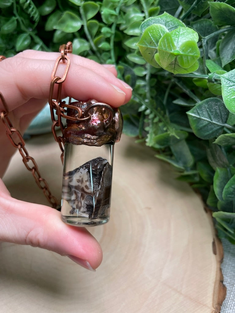 Amethyst and Wet Specimen Baby Turtle in a Glass Vial Necklace