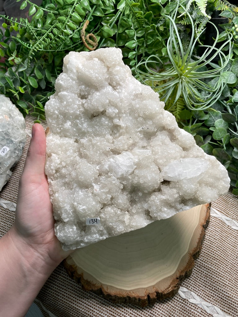 XXL Apophyllite Cluster