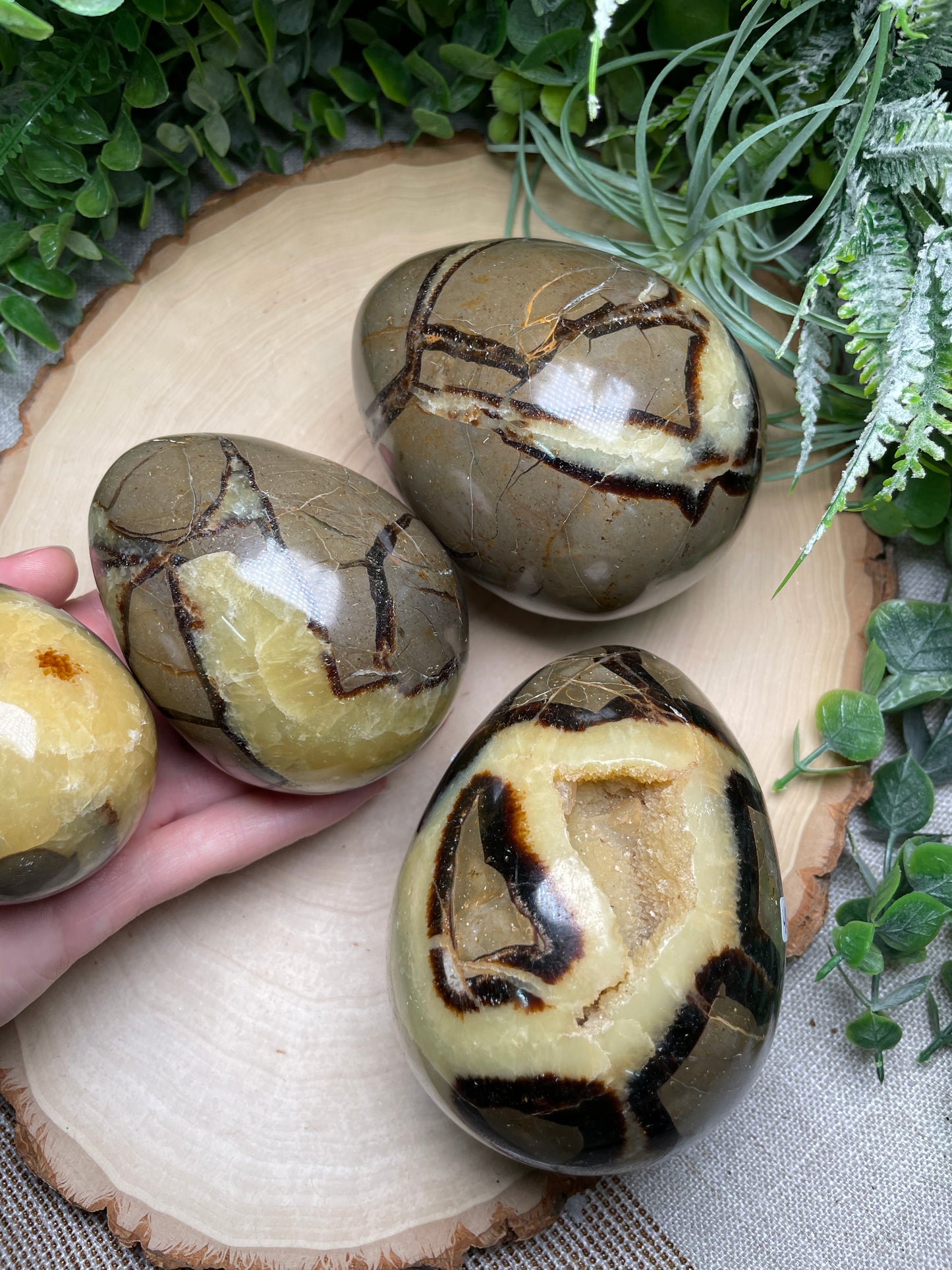 Septarian Egg