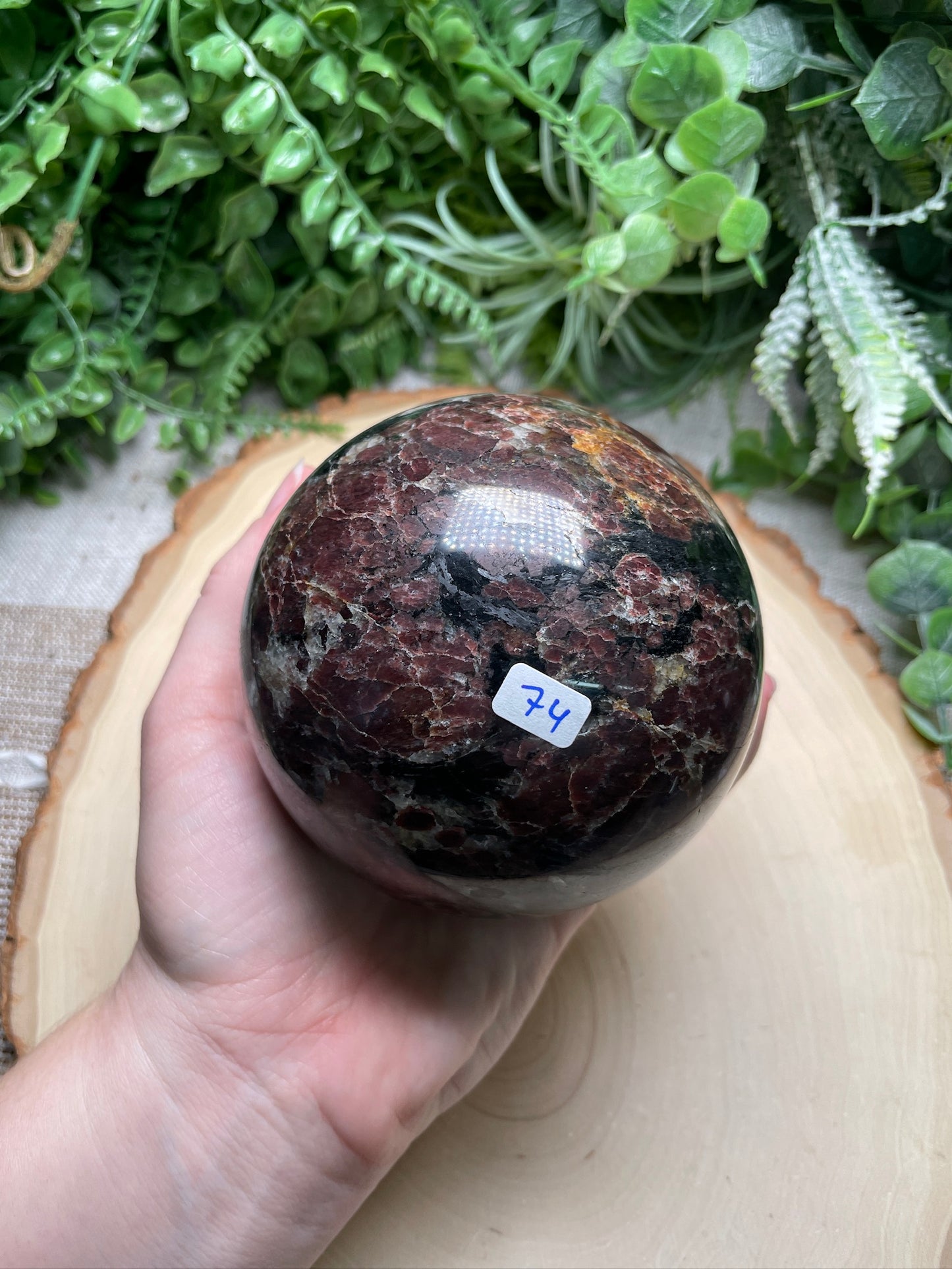 XL Garnet in Astrophyllite Sphere