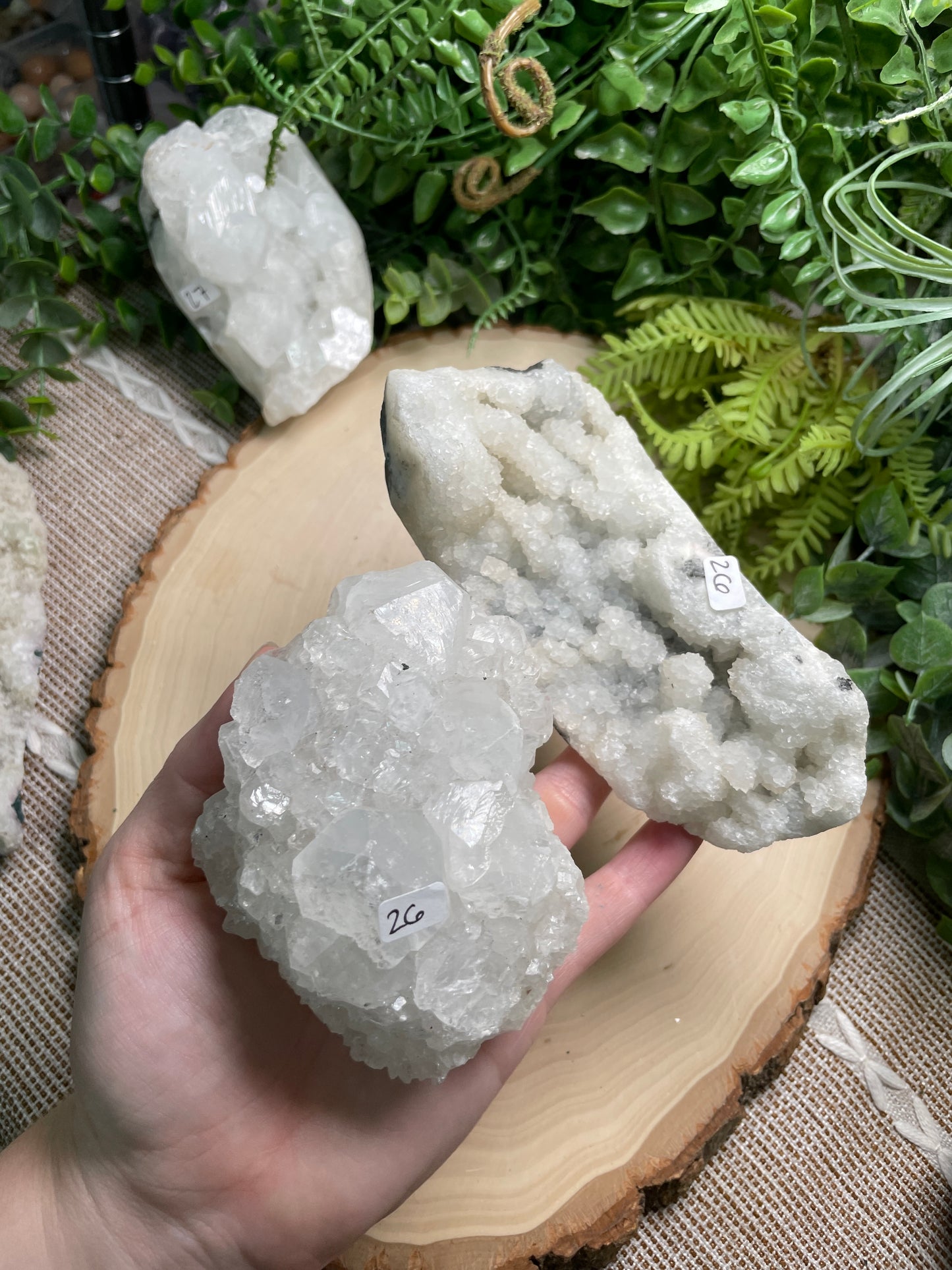 Medium Apophyllite Cluster