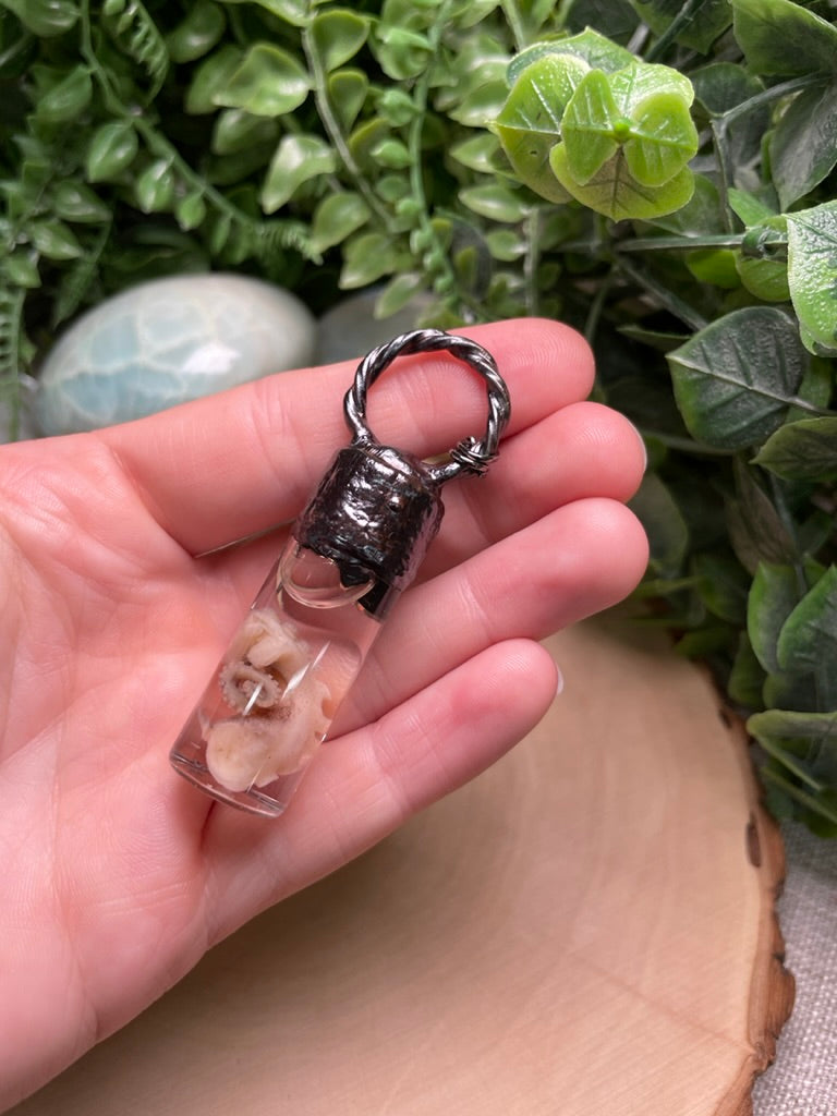 Ocean Jasper and Wet Specimen Octopus Leg in a Glass Vial Necklace