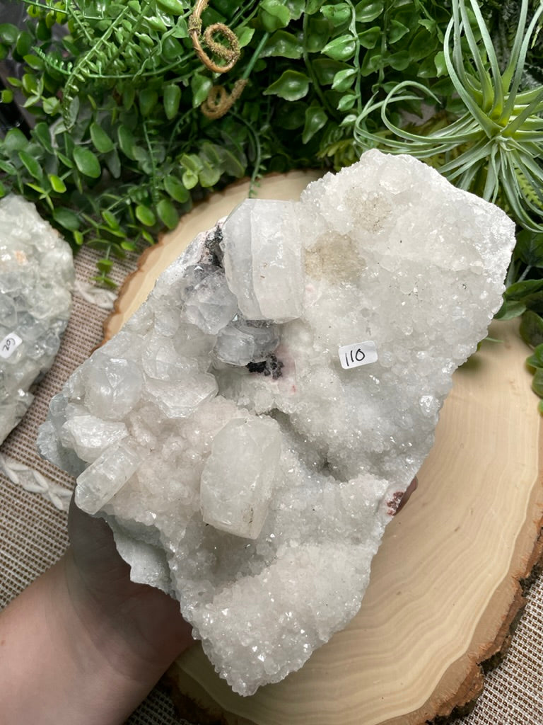 XL Apophyllite Cluster