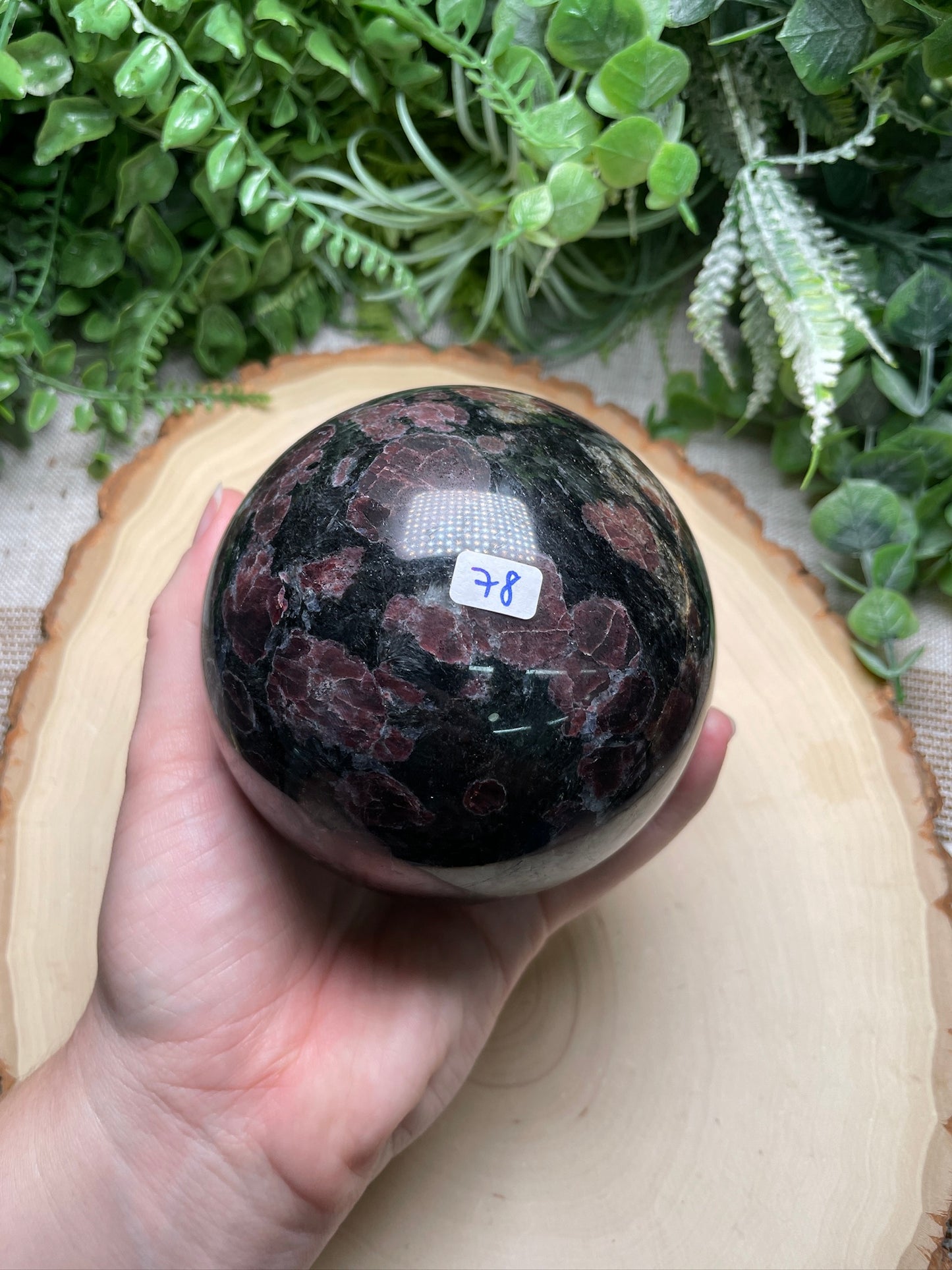 XL Garnet in Astrophyllite Sphere