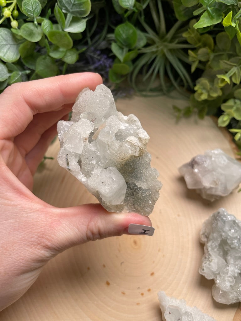 Apophyllite Cluster