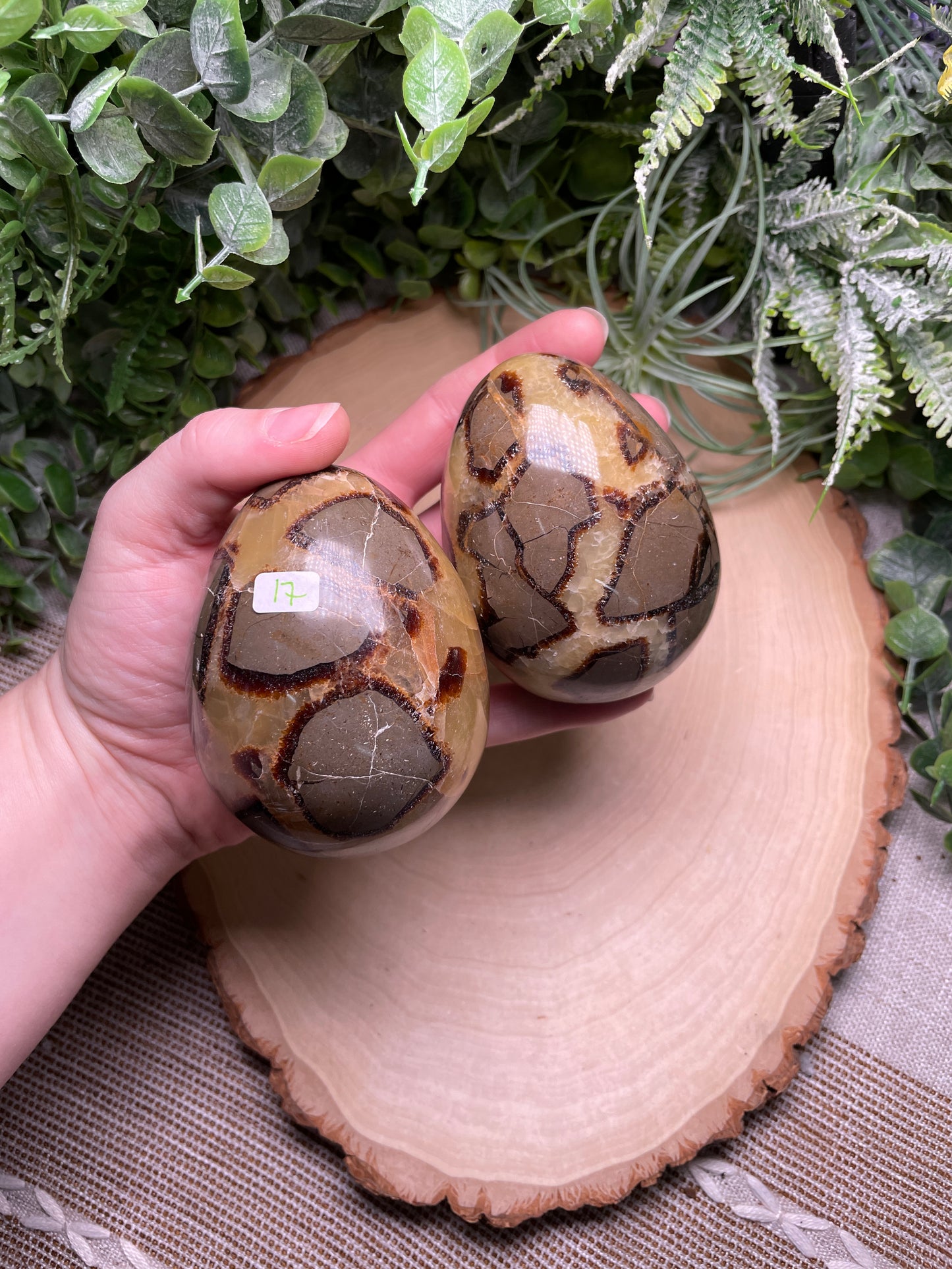 Septarian Egg