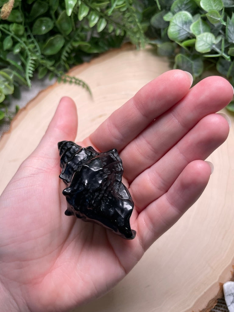 Obsidian Shell