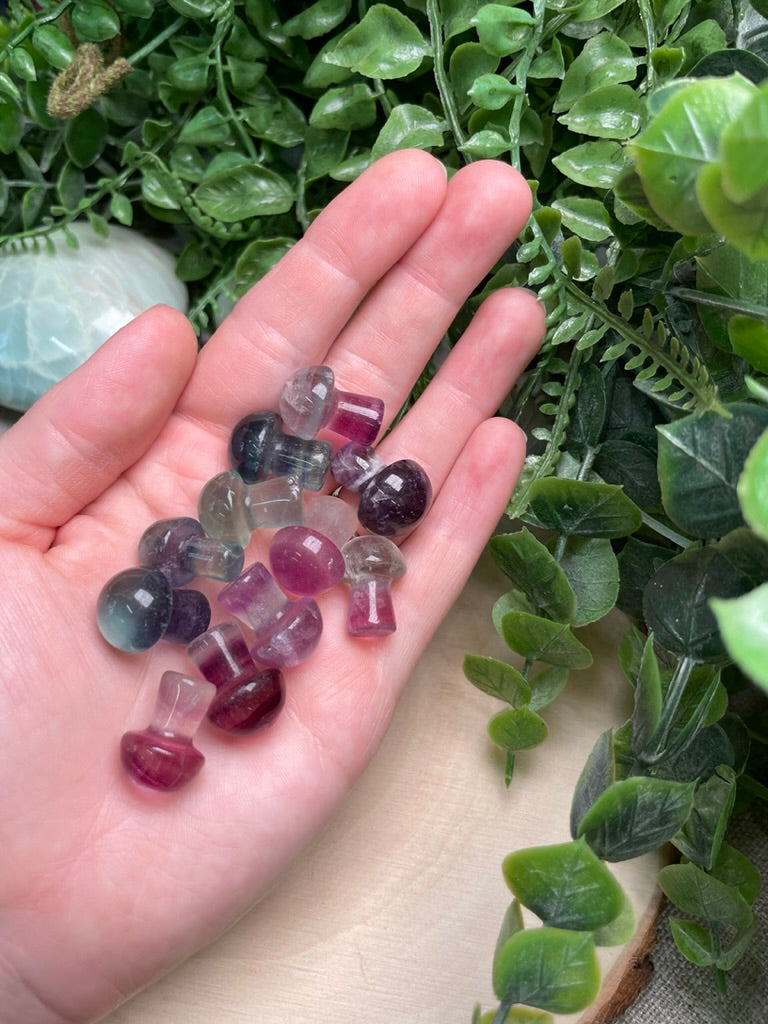 Rainbow Fluorite Mushroom