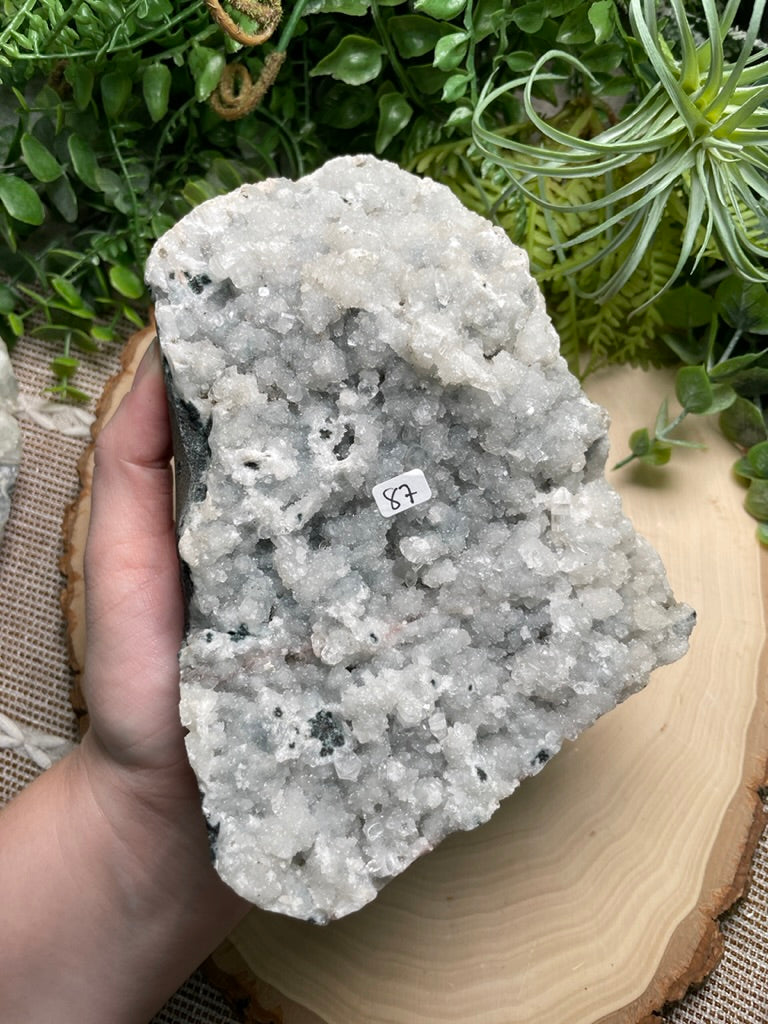 XL Apophyllite Cluster