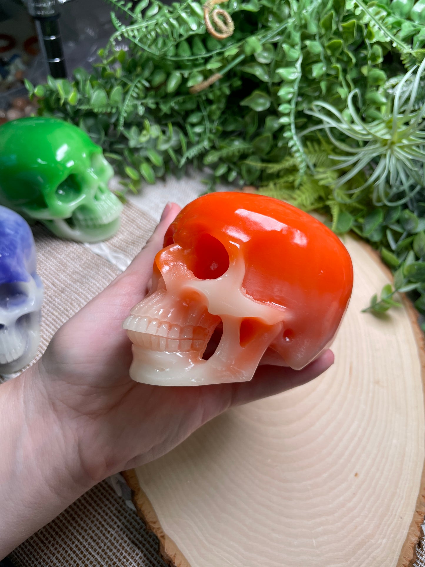 Resin Skull