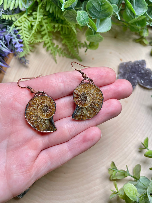 Matilda- Ammonite Fossil Earrings