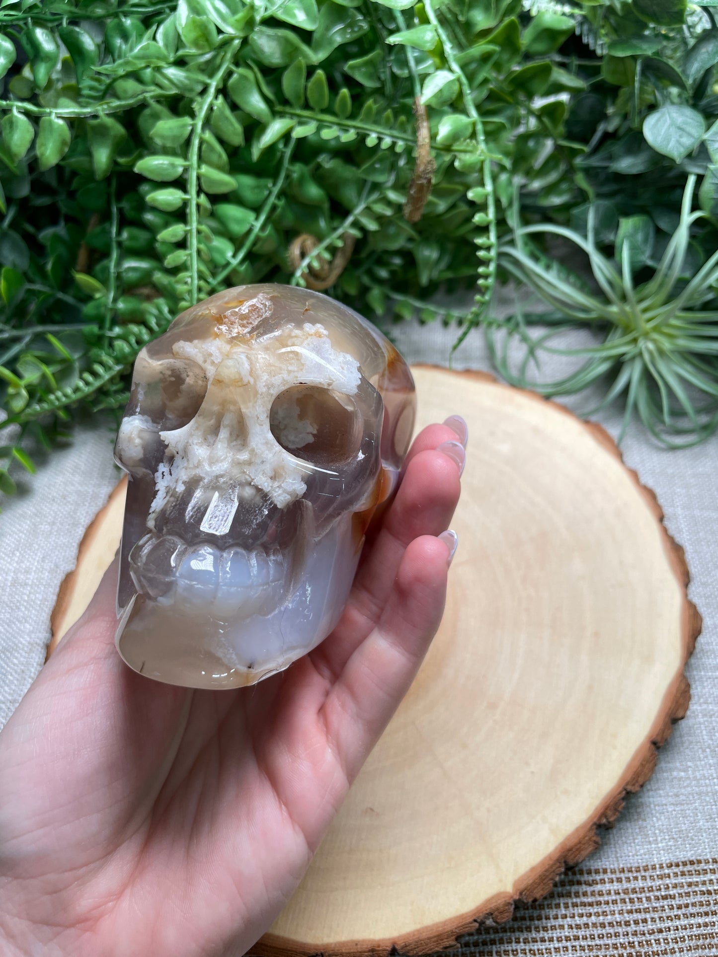 Flower Agate Skull