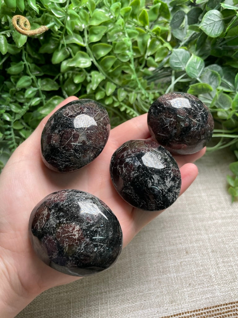 Garnet in Astrophyllite Palm Stone