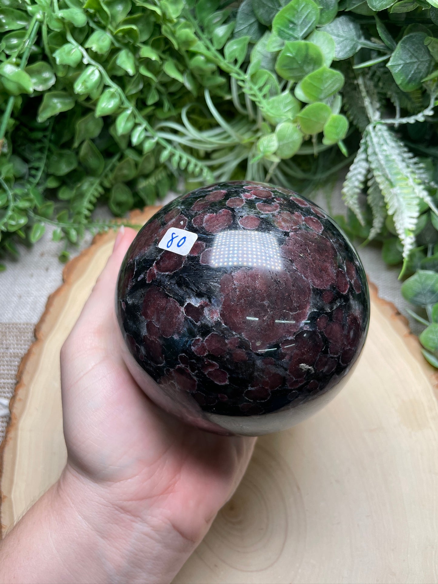 XL Garnet in Astrophyllite Sphere