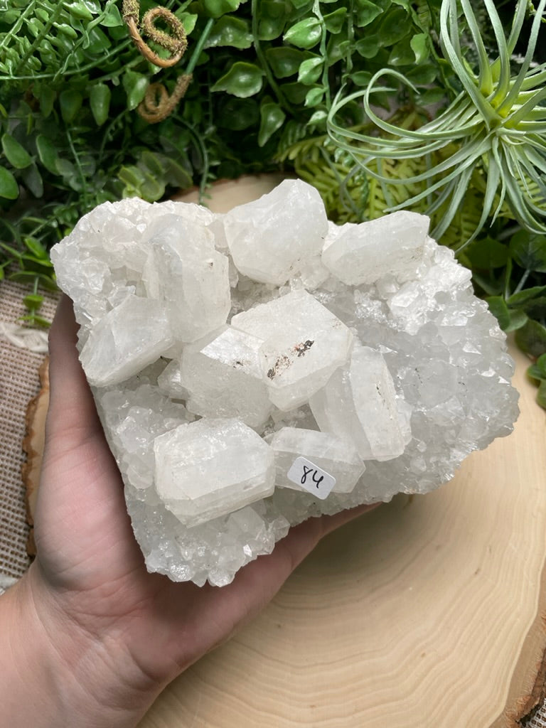 XL Apophyllite Cluster