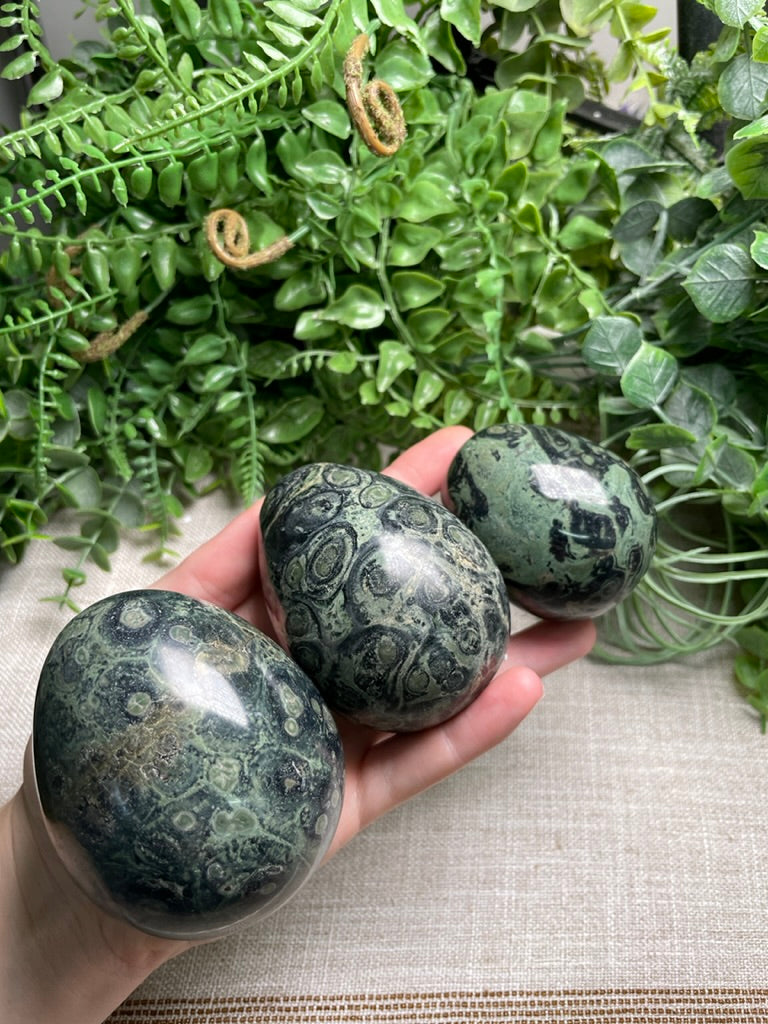 Kambaba Jasper Egg