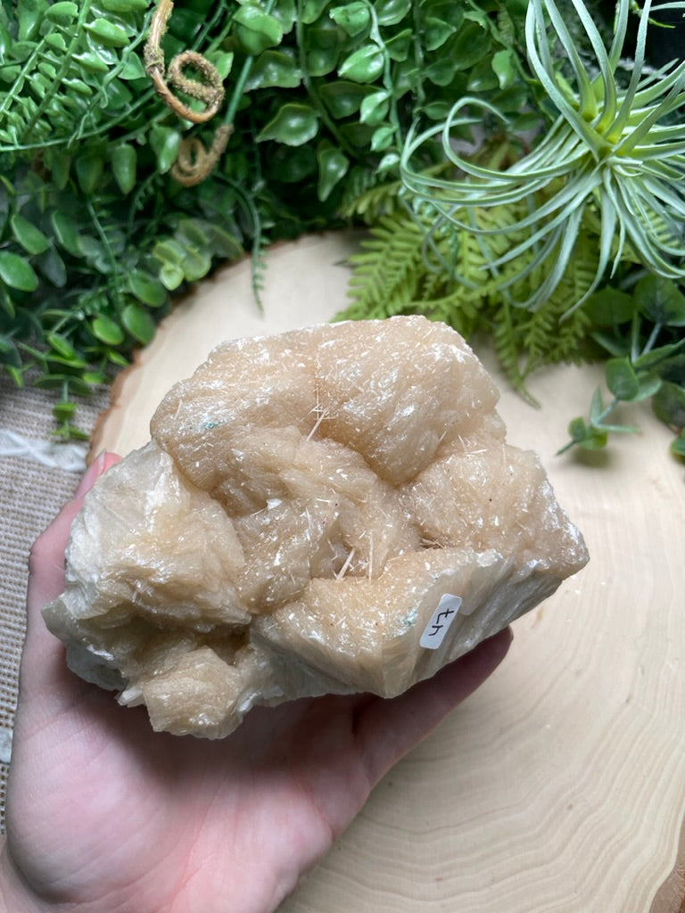 Large Apophyllite Cluster