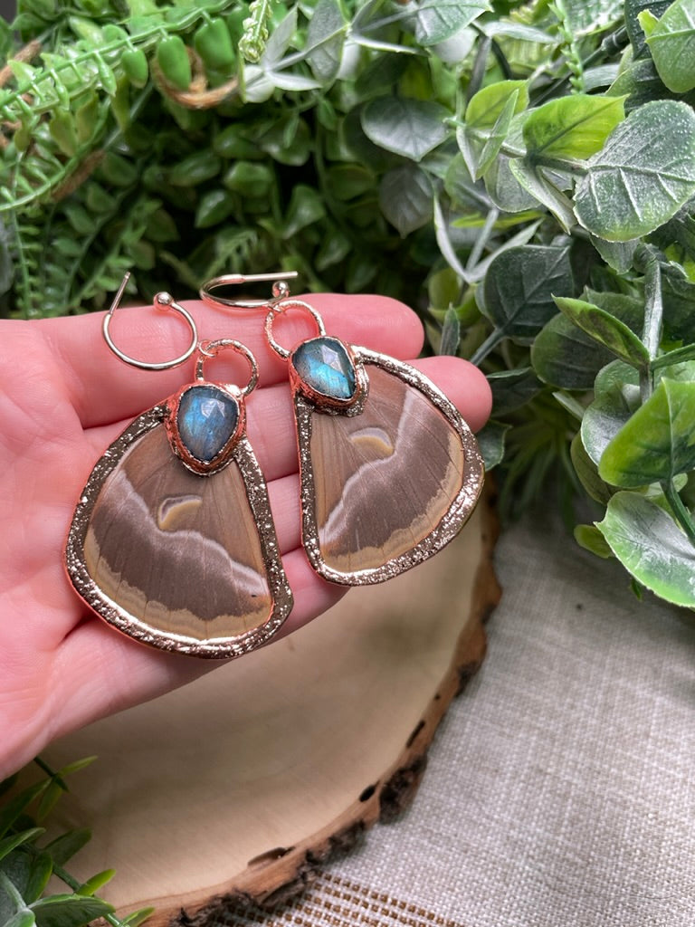 Labradorite Butterfly Wing Earrings