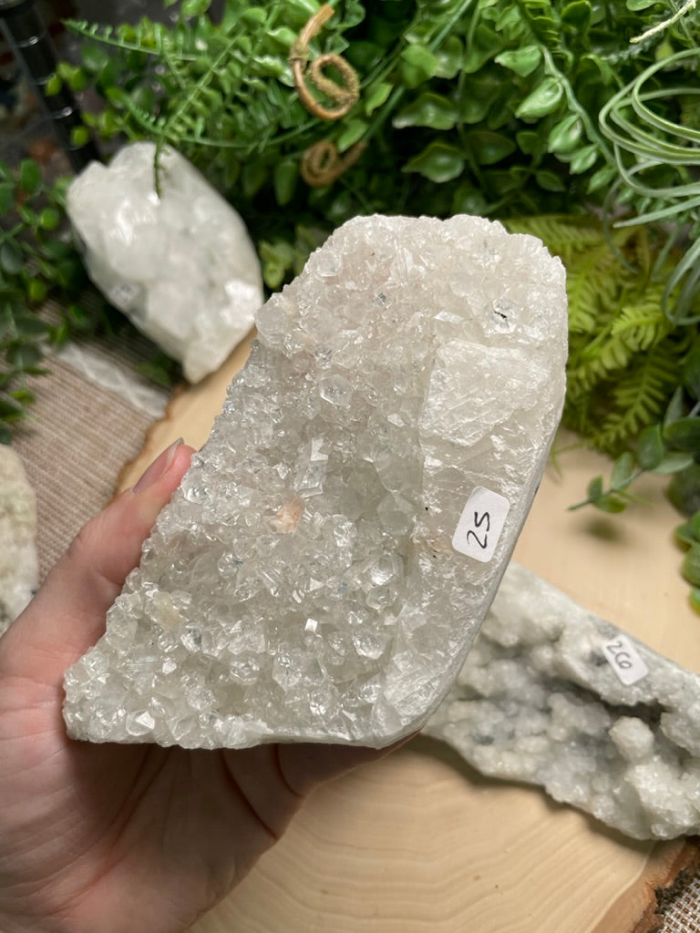 Medium Apophyllite Cluster