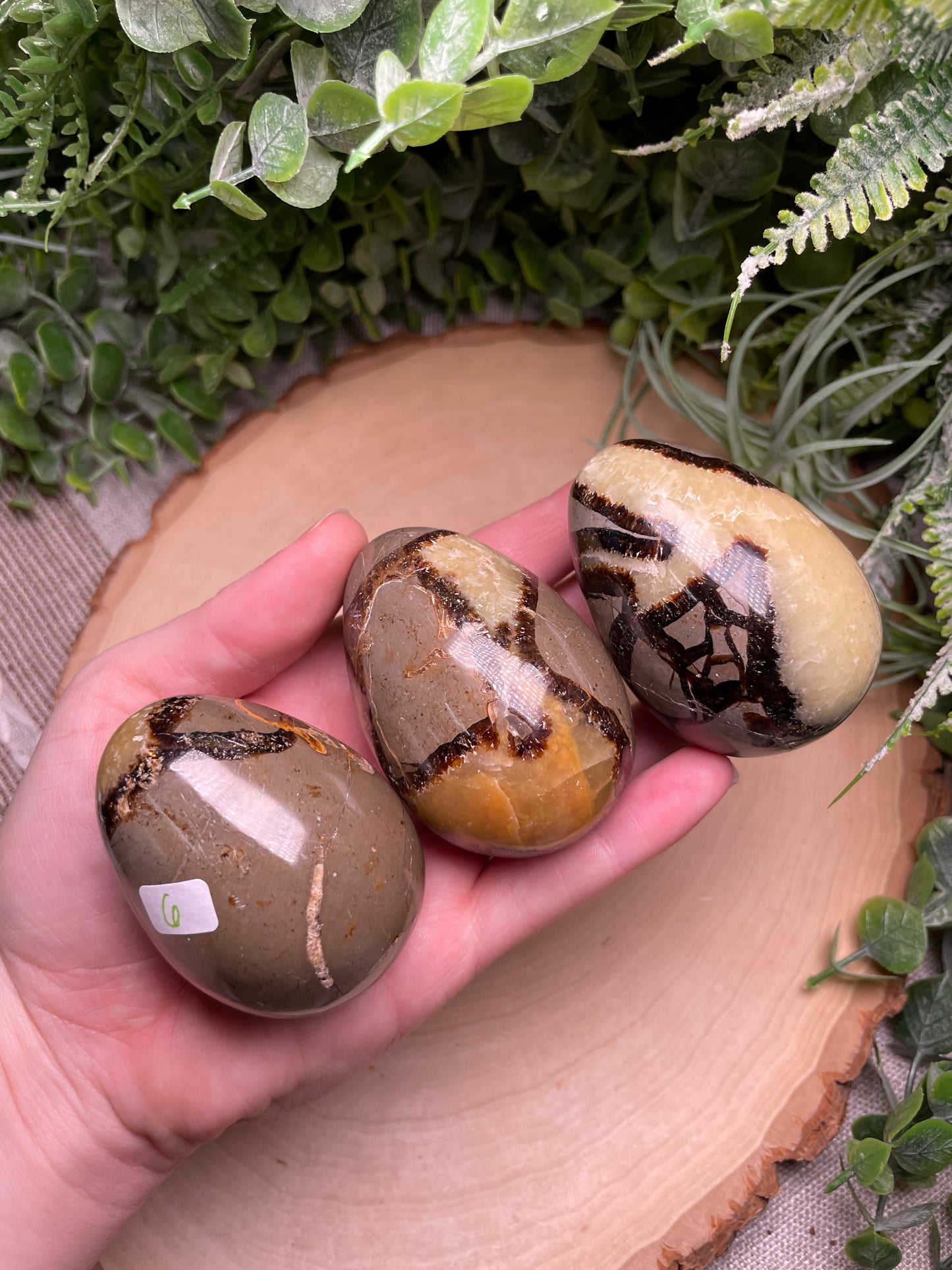 Septarian Egg