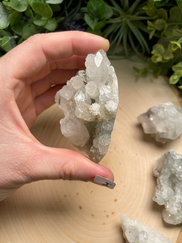 Apophyllite Cluster